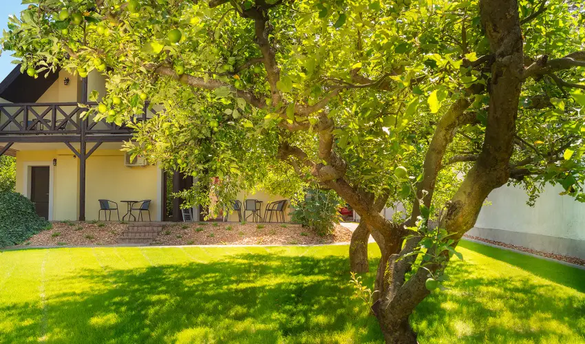 Honti Panzi Visegrd - Pnksd (min. 2 j)