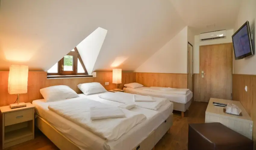 Honti Panzi Visegrd - Pnksd (min. 2 j)