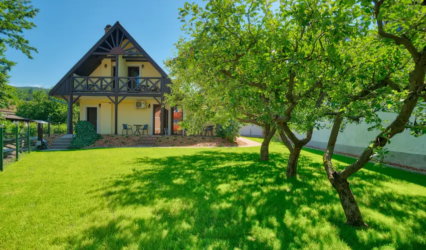 Honti Panzi Visegrd - Pnksd (min. 2 j)