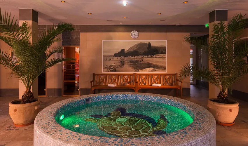 Honti Panzi Visegrd - Pnksd (min. 2 j)