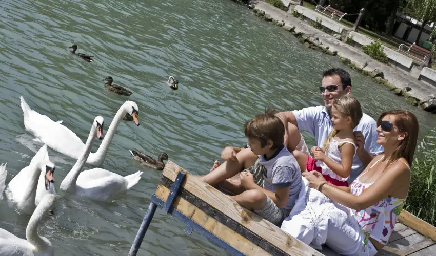 Danubius Hotel Annabella Balatonfred - Pnksd 