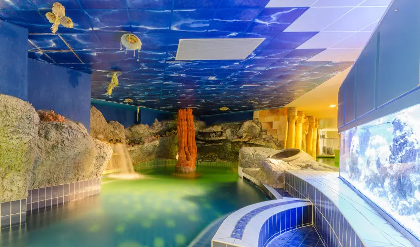 Hunguest Hotel Aqua-Sol Hajd�szoboszl� - P�nk�sdi h�tv�ge Hajd�szoboszl�n (min. 2 �j) 