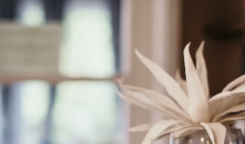 Hotel Arbortum Harkny - Pnksd (min. 2 j)