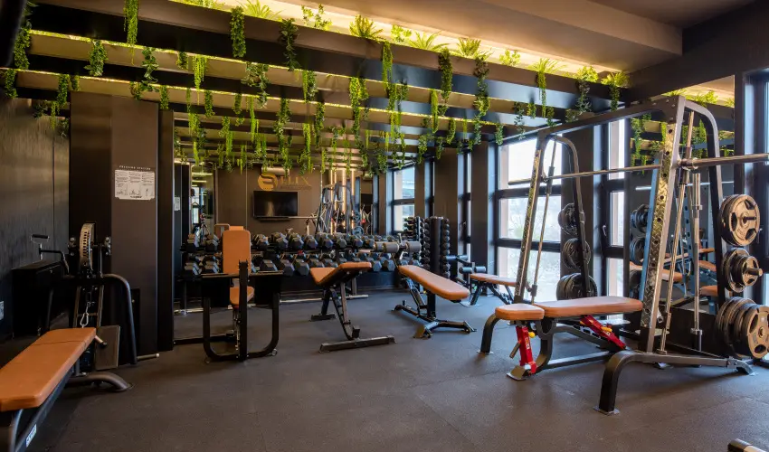 Hotel Bodrog Wellness & Elix Spa S�rospatak - P�nk�sd - teljes el�refizet�ssel (min. 2 �j)