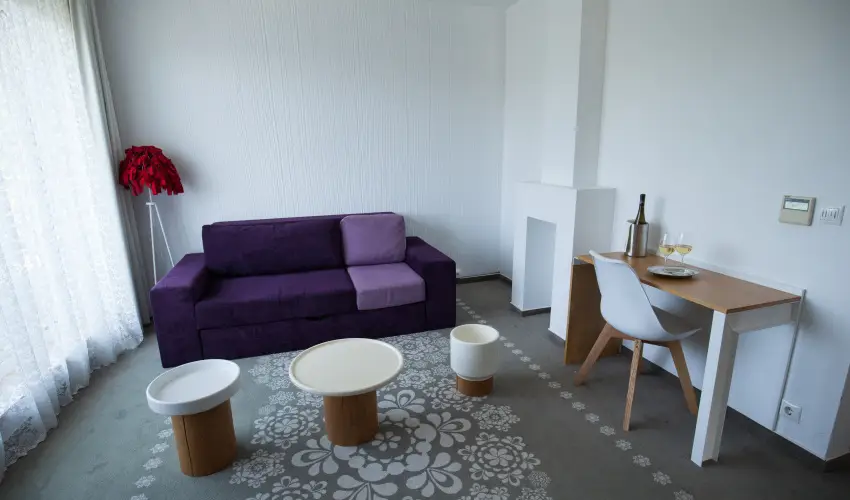 Hotel Bonvino Wine & Spa Badacsony - Pnksd - teljes elrefizetssel