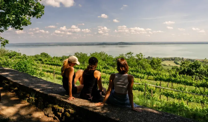 Hotel Bonvino Wine & Spa Badacsony - P�nk�sd - teljes el�refizet�ssel (min. 3 �j)