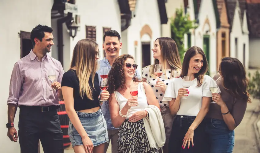 Hotel Cabernet Vill�nyk�vesd - P�nk�sd