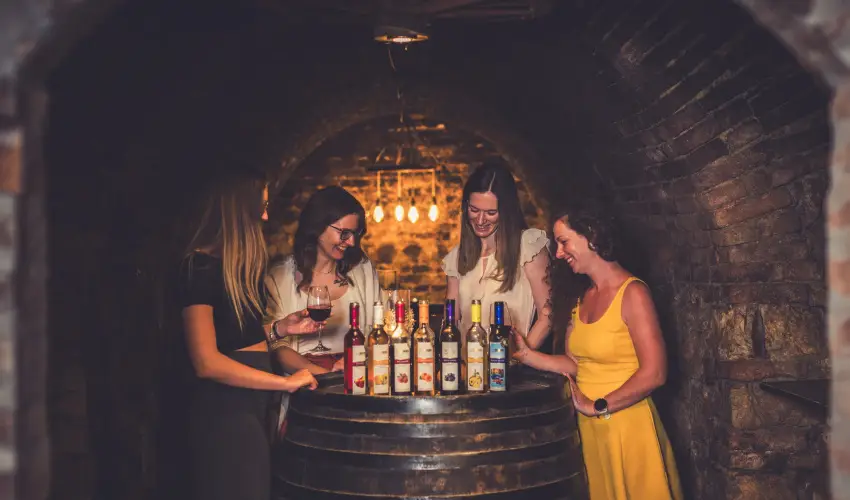 Hotel Cabernet Vill�nyk�vesd - P�nk�sd