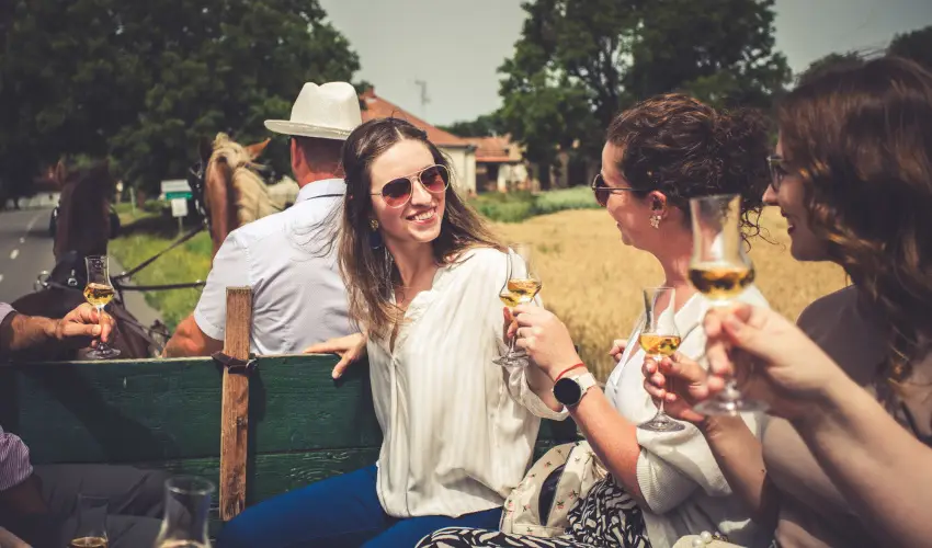 Hotel Cabernet Vill�nyk�vesd - P�nk�sd