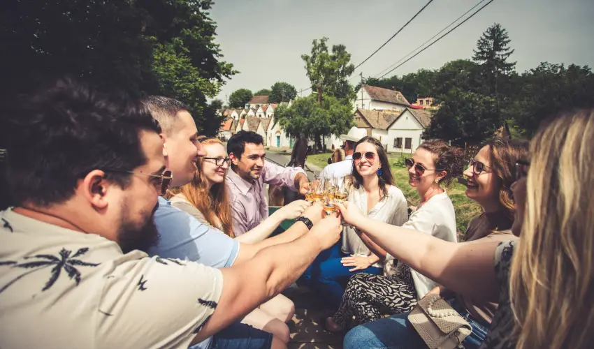 Hotel Cabernet Vill�nyk�vesd - P�nk�sd