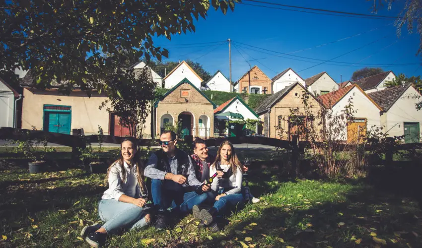 Hotel Cabernet Vill�nyk�vesd - P�nk�sd