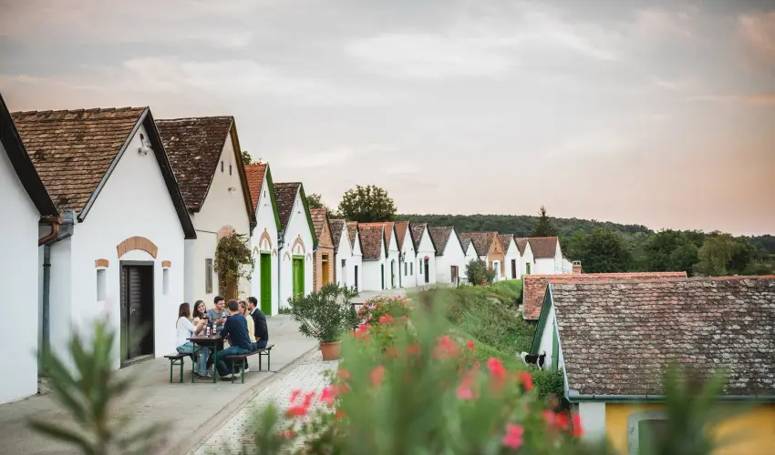 Hotel Cabernet Vill�nyk�vesd - P�nk�sd