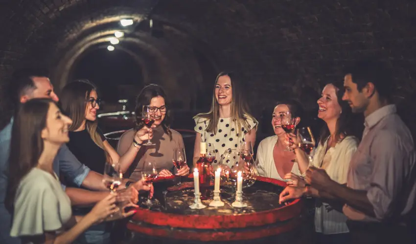 Hotel Cabernet Vill�nyk�vesd - P�nk�sd