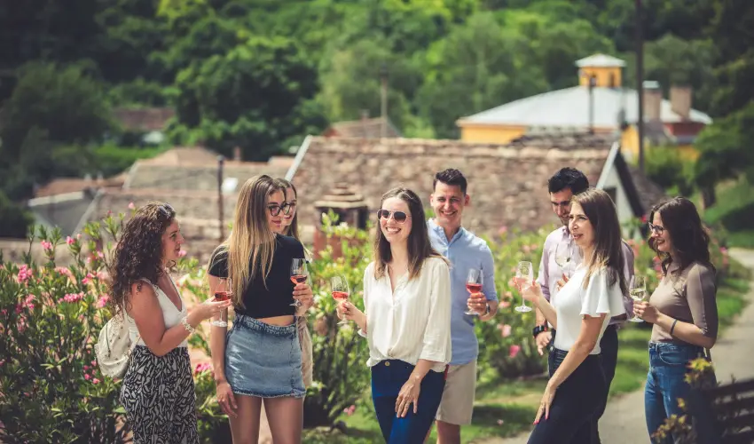 Hotel Cabernet Vill�nyk�vesd - P�nk�sd