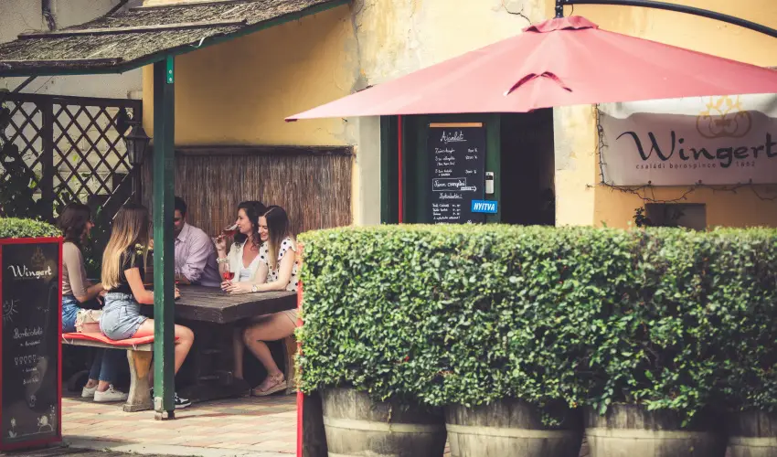 Hotel Cabernet Vill�nyk�vesd - P�nk�sd