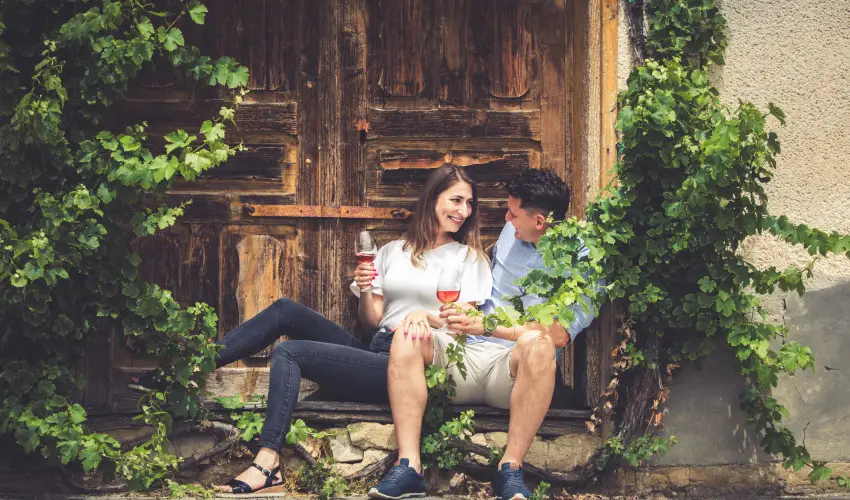 Hotel Cabernet Vill�nyk�vesd - P�nk�sd