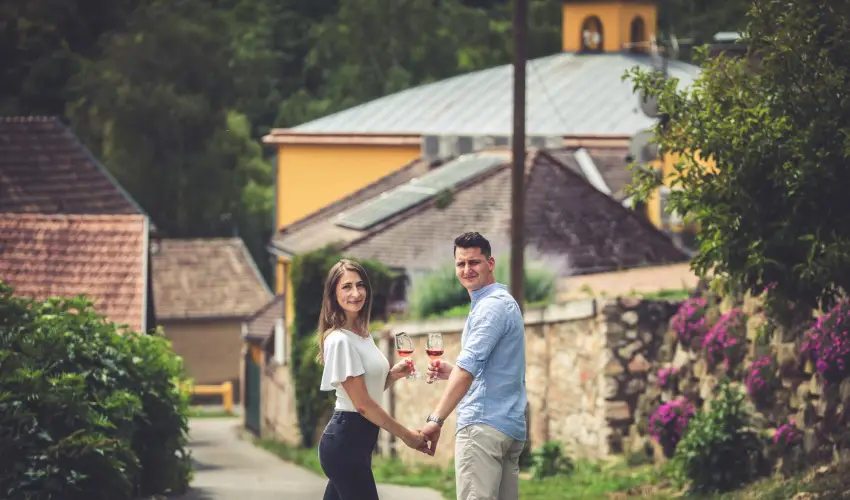 Hotel Cabernet Vill�nyk�vesd - P�nk�sd