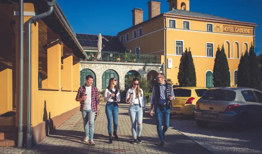 Hotel Cabernet Vill�nyk�vesd - P�nk�sd