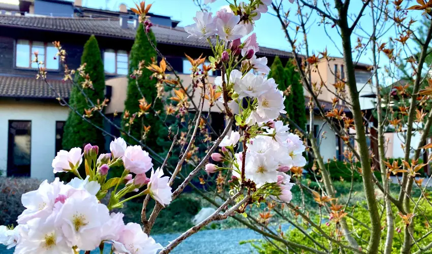 Caramell Premium Resort Bük, Bükfürdő - Pünkösd