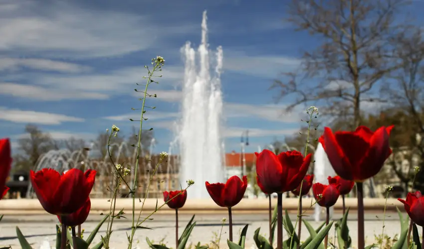 Hotel Centr�l Nagykanizsa - P�nk�sd