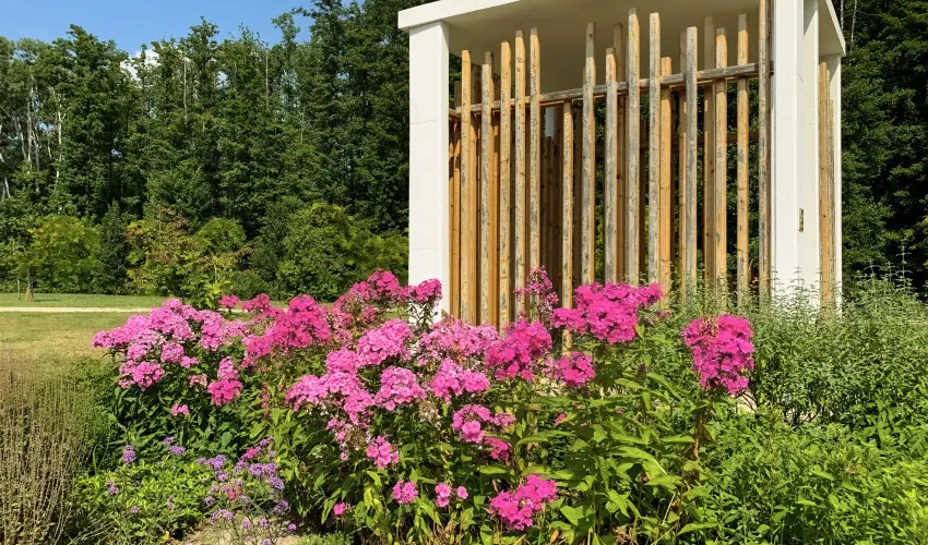 Hunguest Hotel Freya Zalakaros - Pnksdi htvge Zalakaroson (min. 3 j)