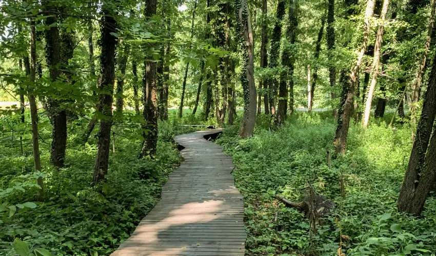 Hunguest Hotel Freya Zalakaros - Pnksdi htvge Zalakaroson (min. 3 j)