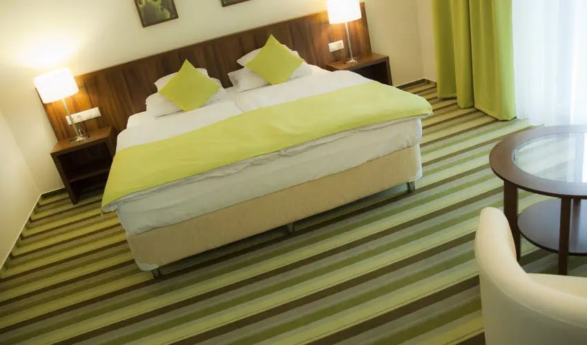 Hotel Ginkgo Hdmezvsrhely - Pnksd 