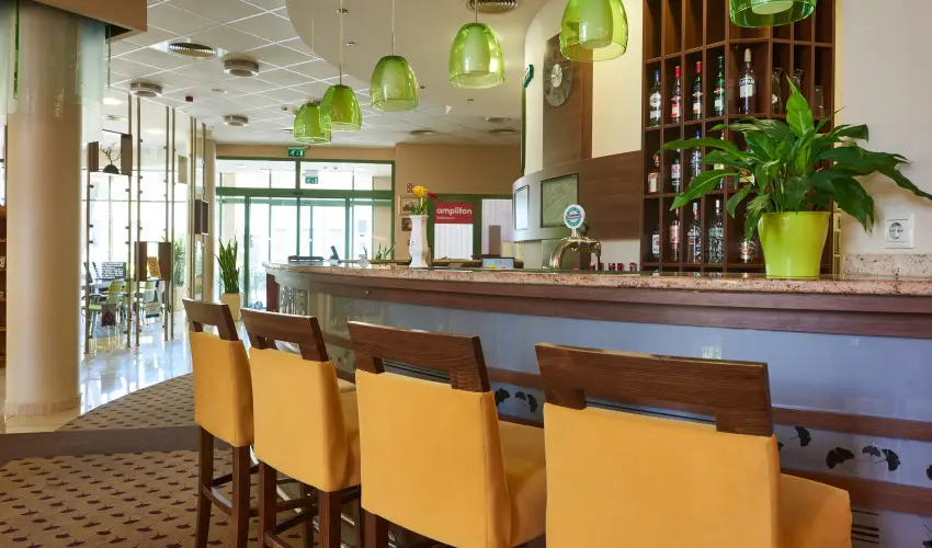 Hotel Ginkgo Hdmezvsrhely - Pnksd 