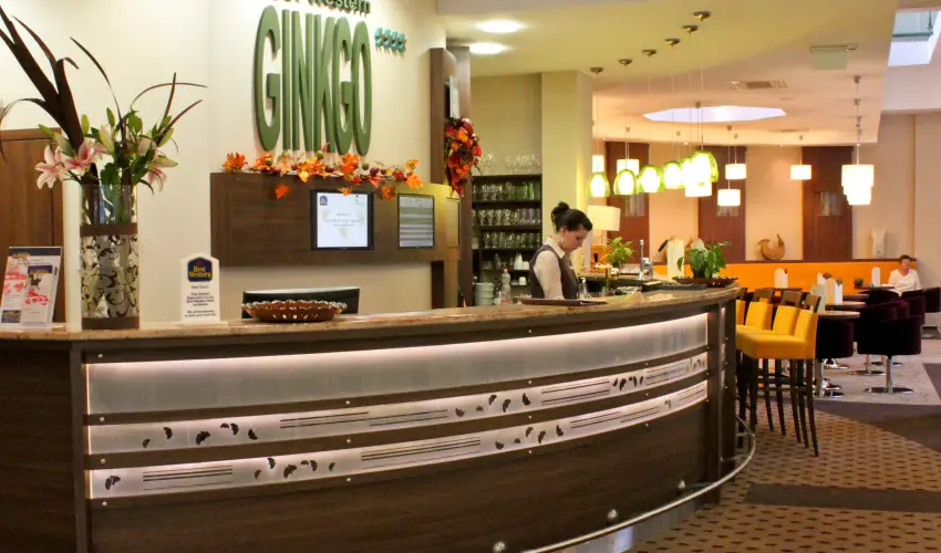 Hotel Ginkgo Hdmezvsrhely - Pnksd 