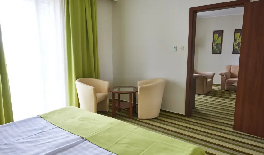 Hotel Ginkgo Hdmezvsrhely - Pnksd 