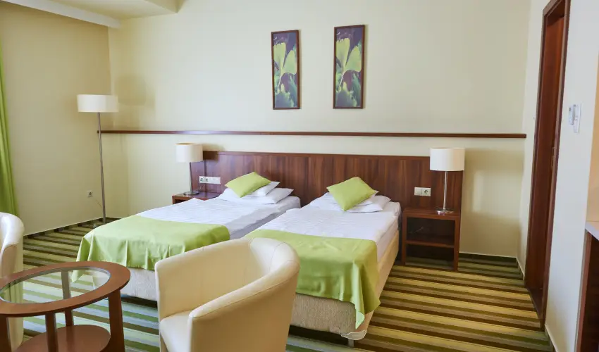 Hotel Ginkgo Hdmezvsrhely - Pnksd 