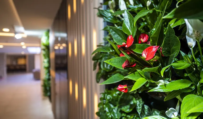 Greenfield Hotel Golf & Spa Bk, Bkfrd - Pnksd                                                                                                                                                                                                                                                        