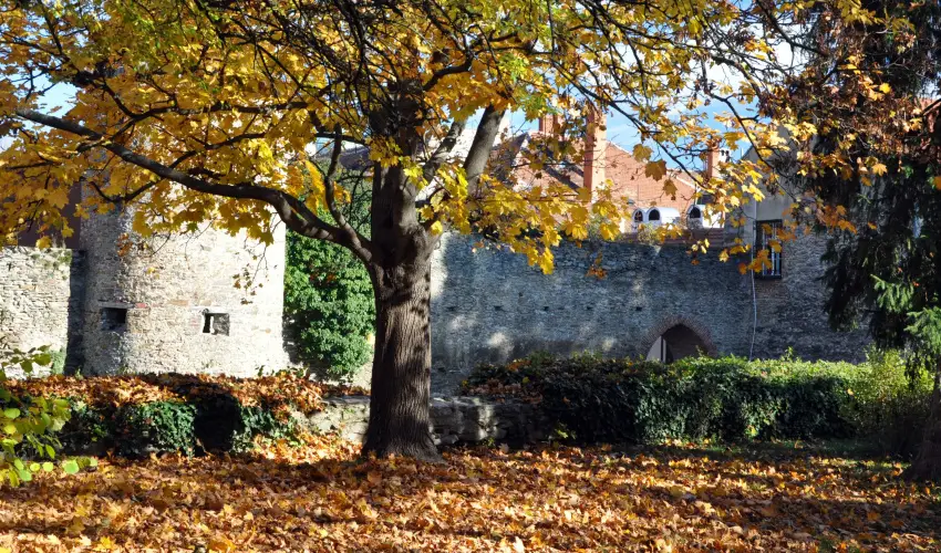 Hotel rottk Kszeg - Pnksd (min. 2 j)