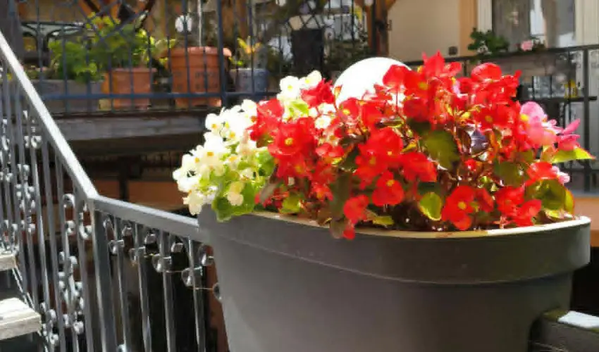 Hotel Isabell Gy�r - P�nk�sd 