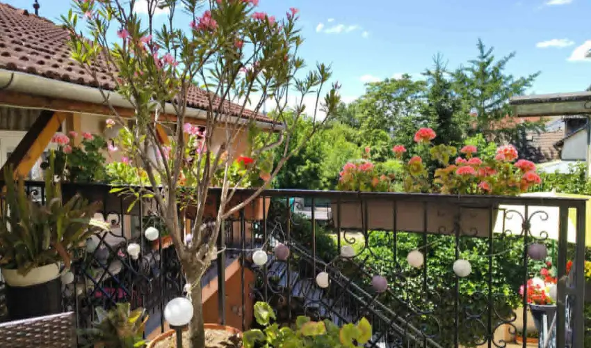 Hotel Isabell Gy�r - P�nk�sd 