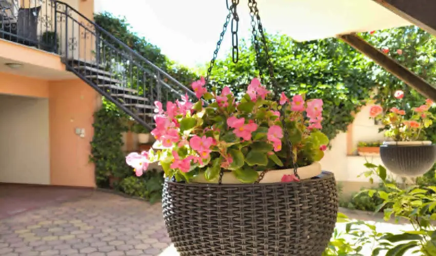 Hotel Isabell Gy�r - P�nk�sd 