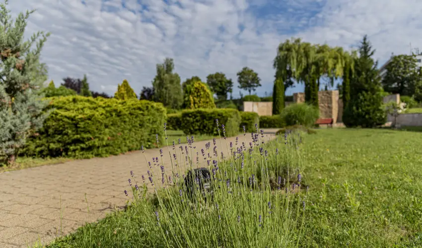 Hotel Karos Spa Zalakaros - Pnksd (min. 2 j)