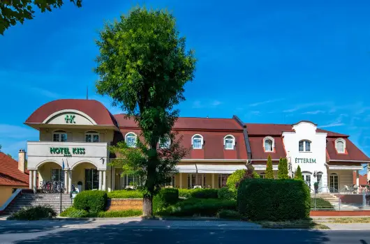 Hotel Kiss - P�nk�sd 