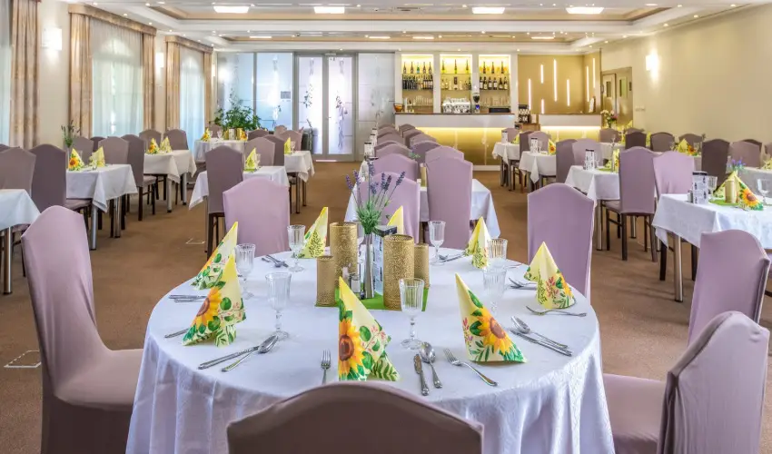 Hotel Kiss Tata - Pnksd 