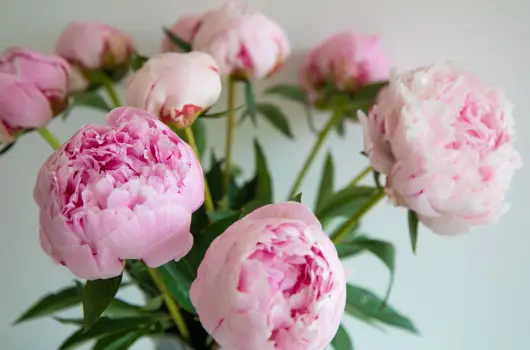 Hotel Korona Wellness, Rendezvny & Borhotel Eger - Pnksd Egerben (min. 2 j)