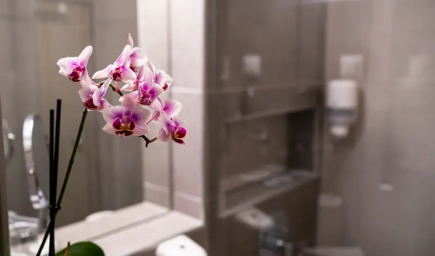 Hotel Margarta Balatonfred - Pnksd