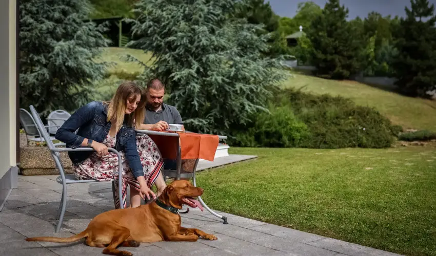 Sndor Hotel Pcs - Pnksd