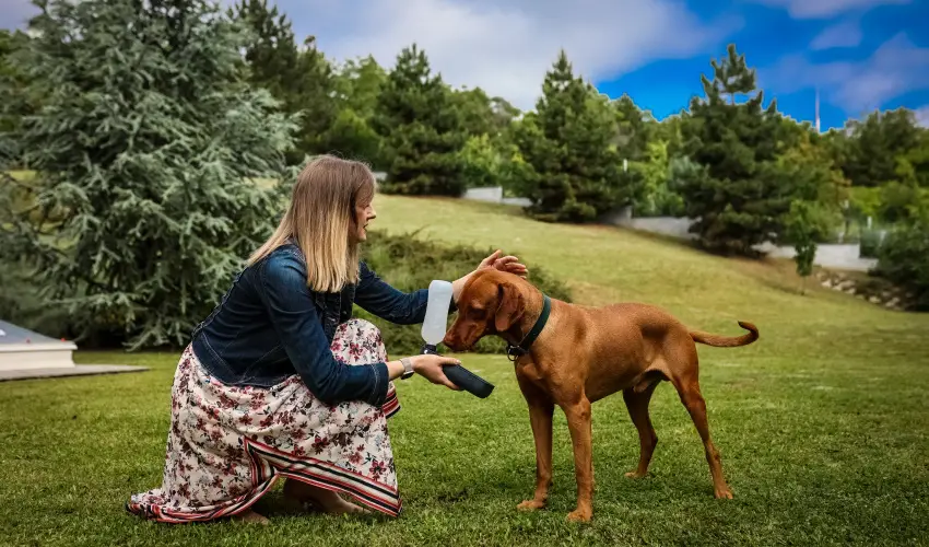 Sndor Hotel Pcs - Pnksd