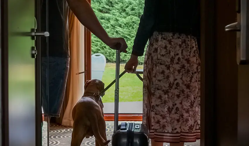 Sndor Hotel Pcs - Pnksd