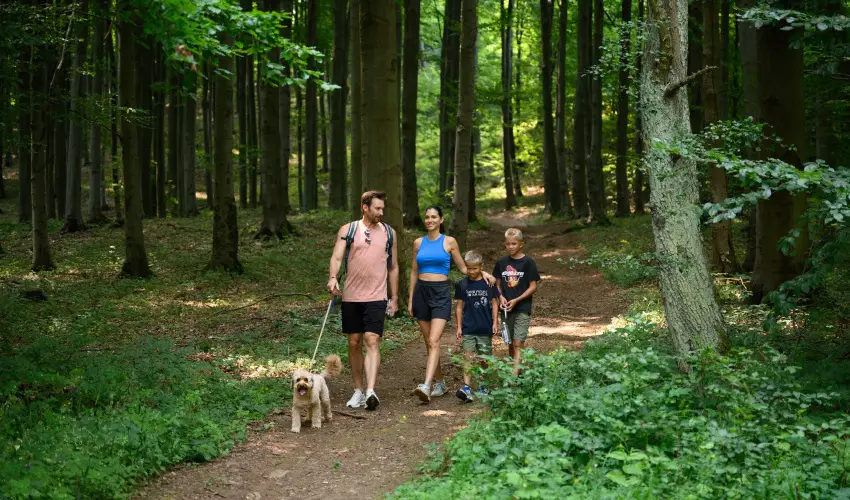 Hotel Nard Mtraszentimre - Pnksd