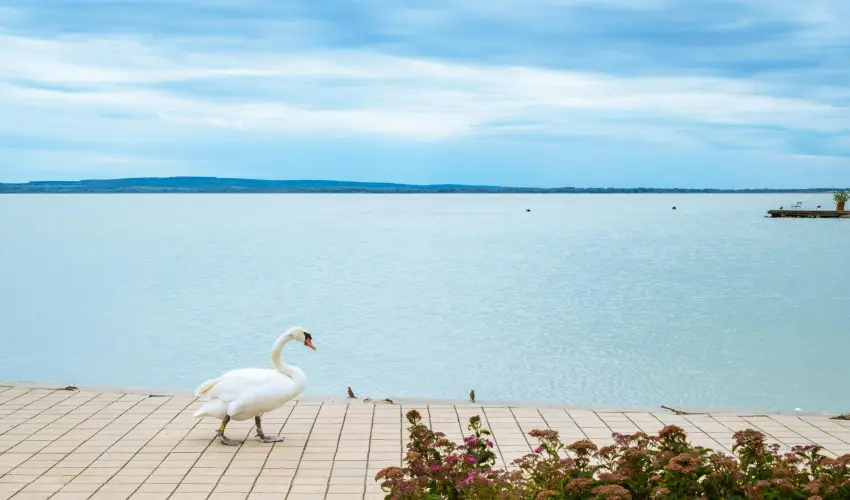 Hotel Ovit Keszthely - Pnksd (min. 3 j)