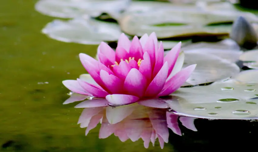 Hotel Ovit Keszthely - Pnksd (min. 3 j)