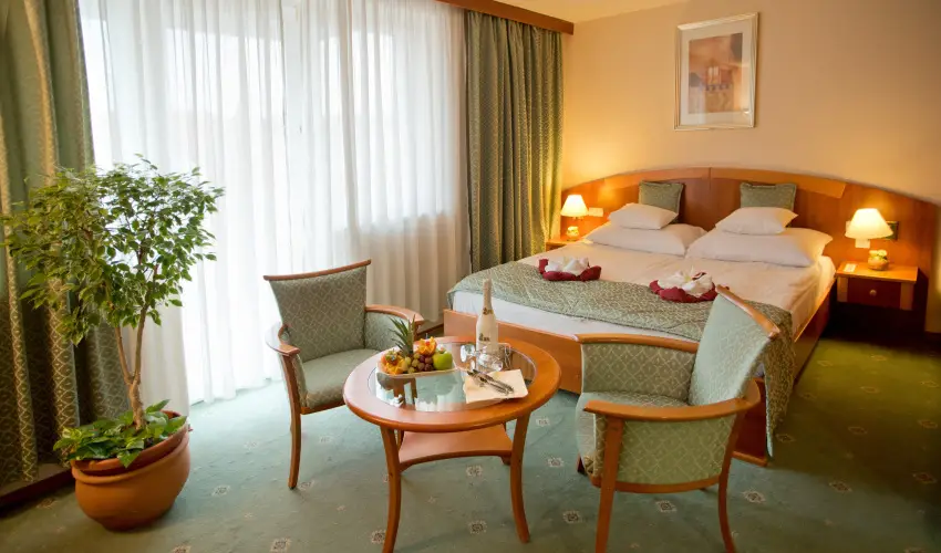 Palace Hotel  Hvz - Pnksd - teljes elrefizetssel