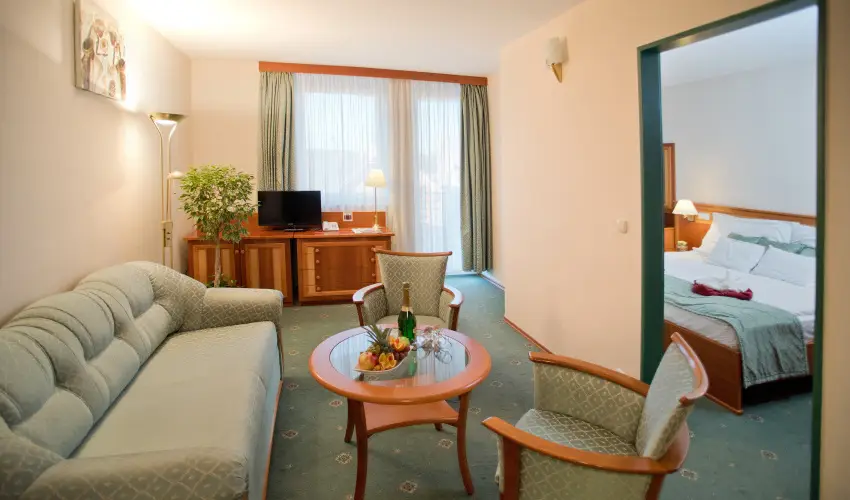 Palace Hotel  Hvz - Pnksd - teljes elrefizetssel