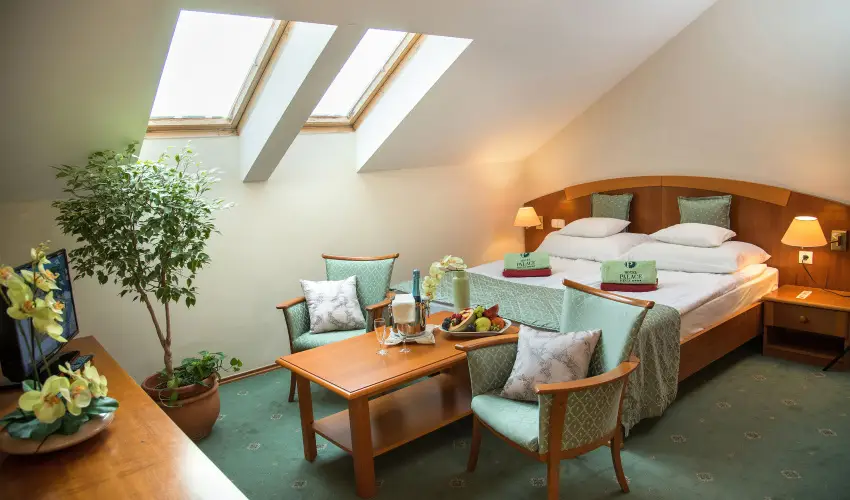 Palace Hotel  Hvz - Pnksd - teljes elrefizetssel